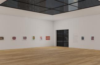 Michael Hill Virtual Exhibition still